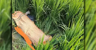 কুমিল্লায় নিখোঁজ কিশোরীর মরদেহ উদ্ধার; পুলিশের ধারণা— ধর্ষণের পর হত্যা